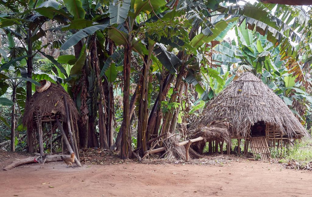 Village de Dougoura [Guinée] - 2024 
