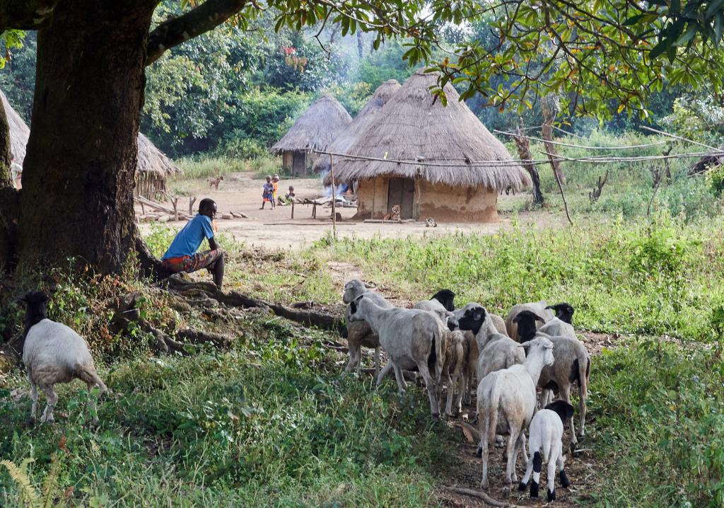 Un village sur le chemin de Daleya [Guinée] - 2024 