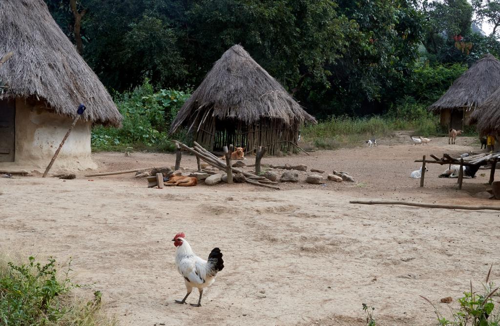 Un village sur le chemin de Daleya [Guinée] - 2024 