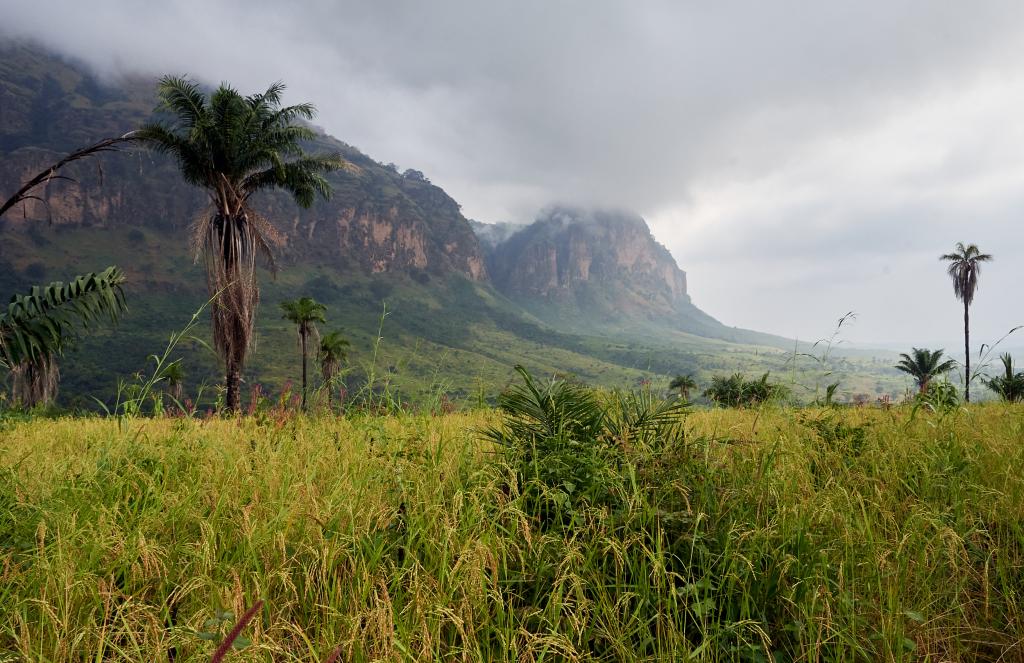 Entre Daleya et Ayem Doukoure [Guinée] - 2024 