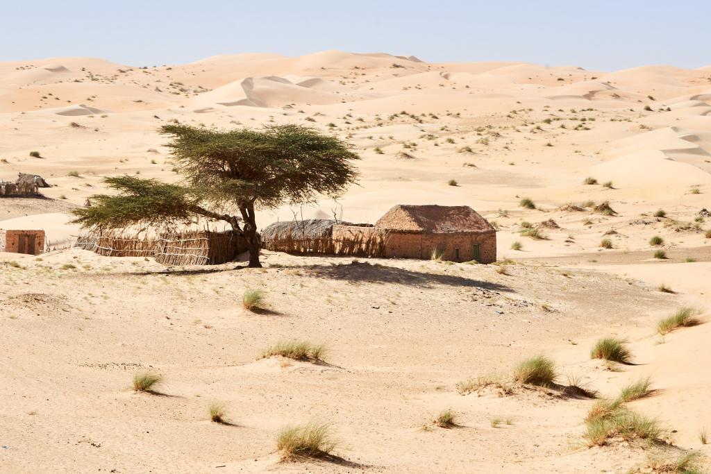 De chinguetti à Lagueila [Mauritanie] - 2022