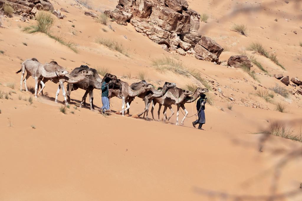 Vers la Vallée blanche [Mauritanie] - 2022 