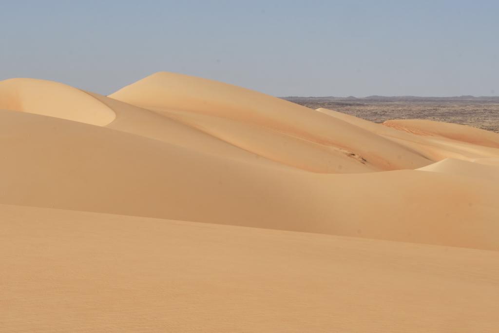 Vallée blanche [Mauritanie] - 2022 
