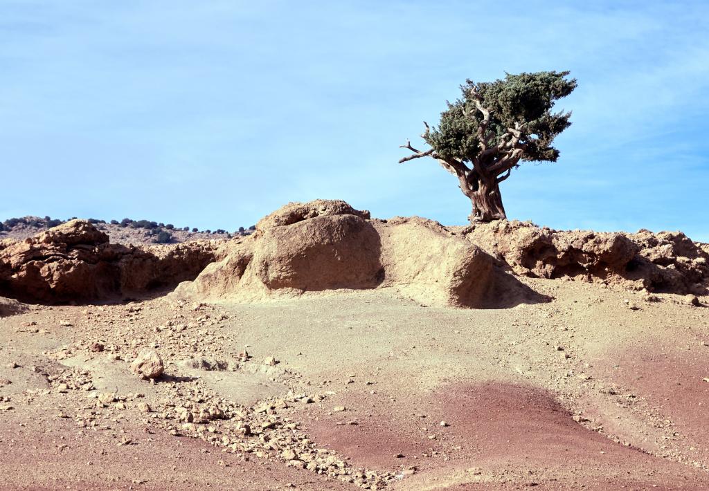 Plateau du Djebel Til [Maroc] - 2023