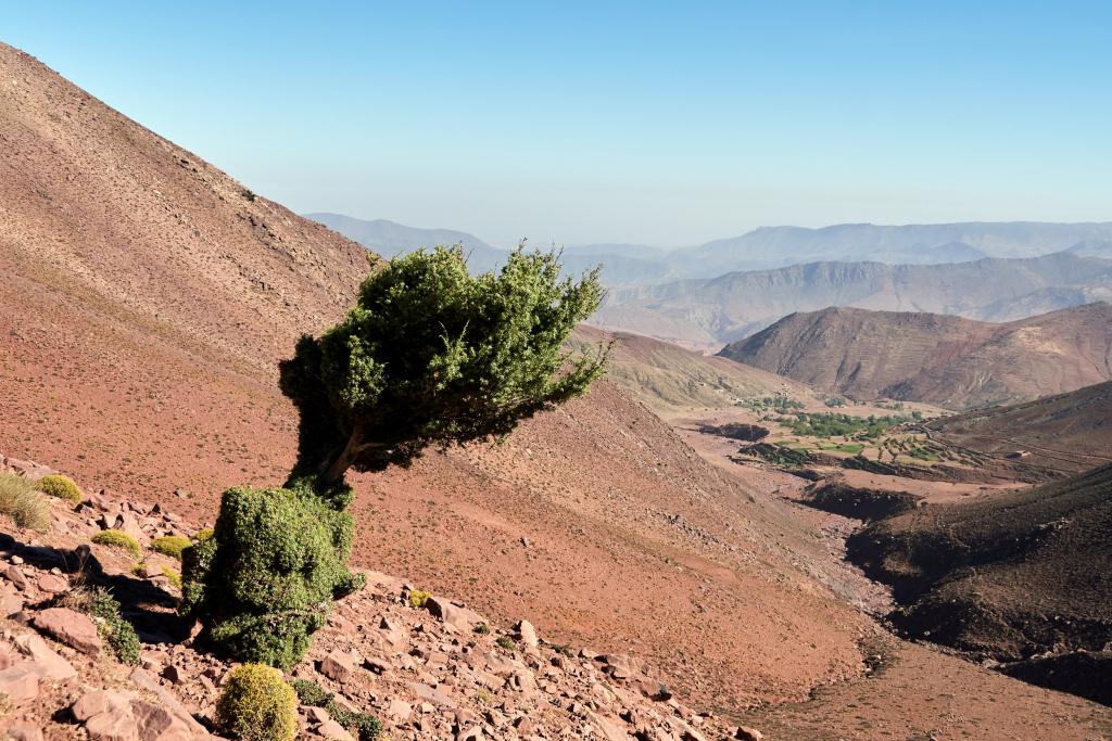 Descente dans la vallée rouge vers Aguensou [Maroc] - 2023
