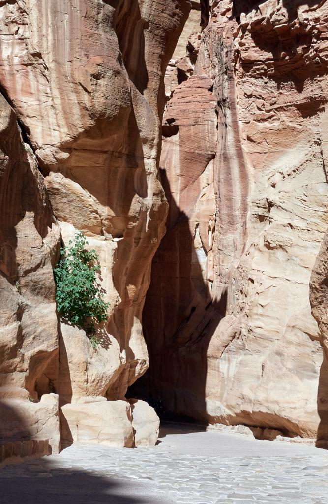 Le Siq (gorge étroite) menant à la Khazneh, Petra [Jordanie] - 2023