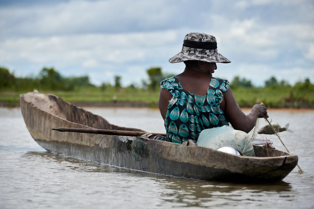 Pêche sur le Sepik [Papouasie Nouvelle Guinée] - 2024 