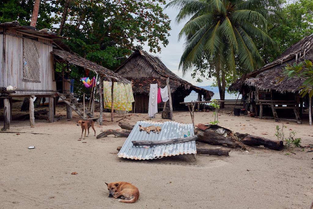 Ile de Muchu [Papouasie Nouvelle Guinée] - 2024 