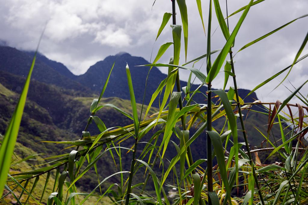 Le mont Hagen, Hautes-Terres [Papouasie Nouvelle Guinée] - 2024