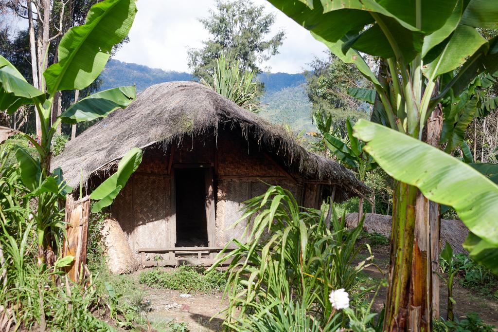 Région de Tambul, Hautes-Terres [Papouasie Nouvelle Guinée] - 2024 