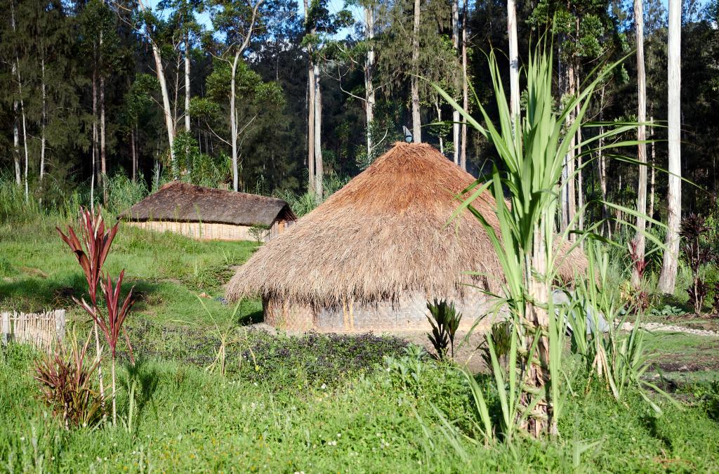 Wanepap, province d'Enga [Papouasie Nouvelle Guinée] - 2024