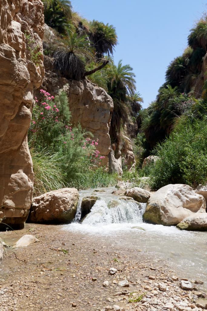 Wadi Ibn Hammad [Jordanie] - 2023