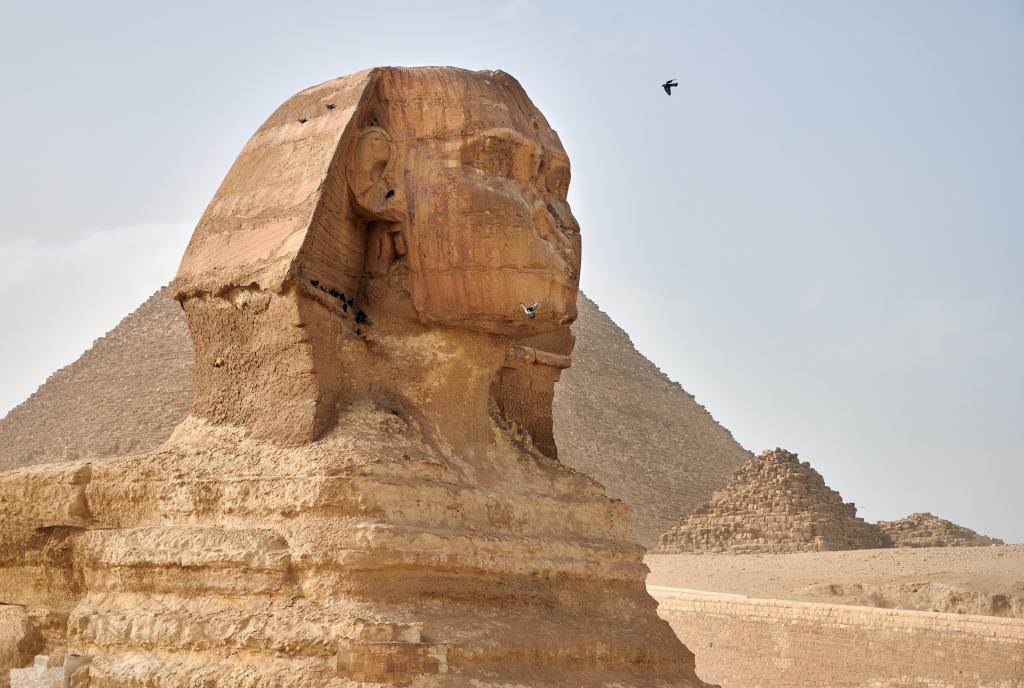 Le sphinx, Guizeh [Egypte] - 2022