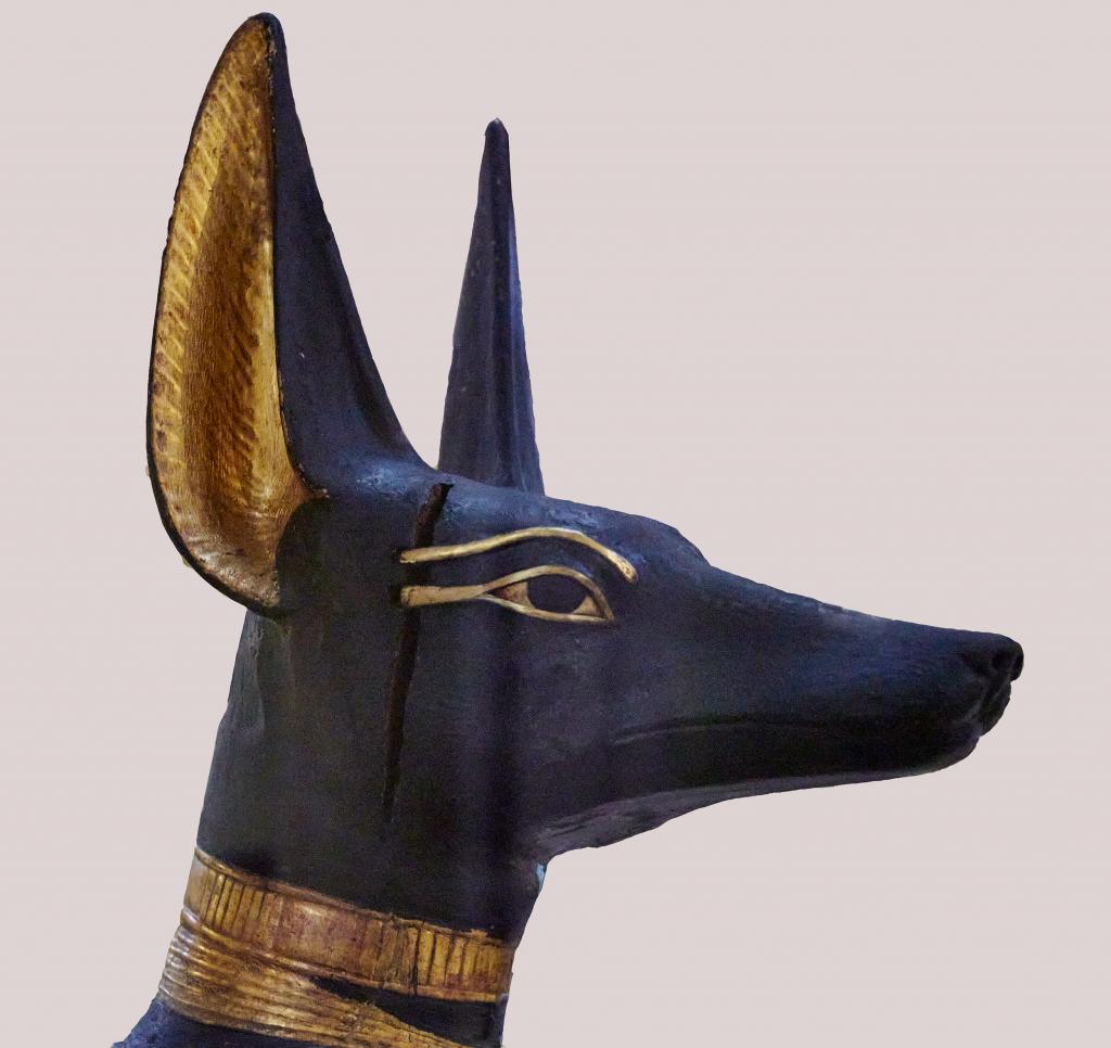 Anubis, Musée du Caire [Egypte] - 2022
