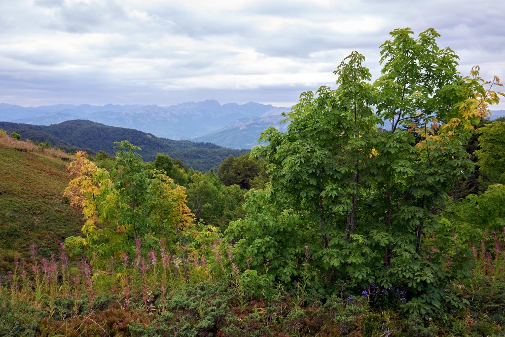 Parc national de Biogradska Gora [Monténégro] - 2021