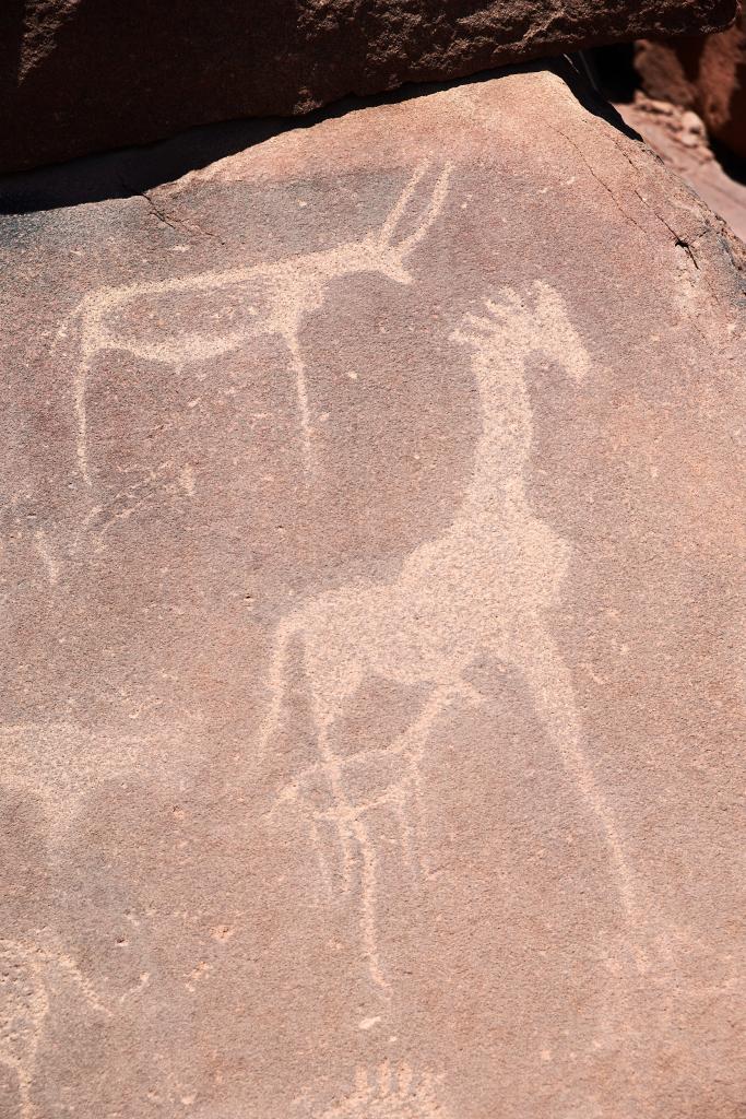 Gravures rupestres de Twyfelfontein [Namibie] - 2021