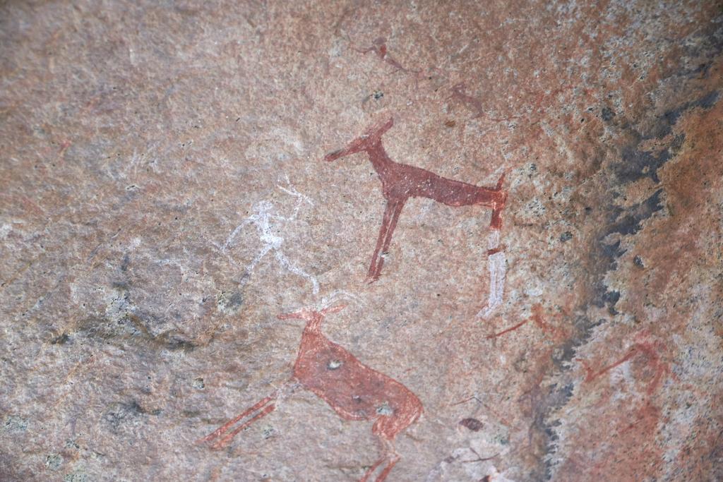 Peintures rupestres du massif du Brandberg [Namibie] - 2021