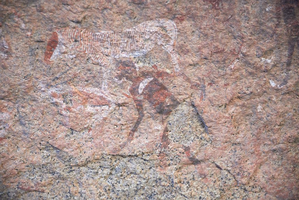 Peintures rupestres du massif du Brandberg [Namibie] - 2021