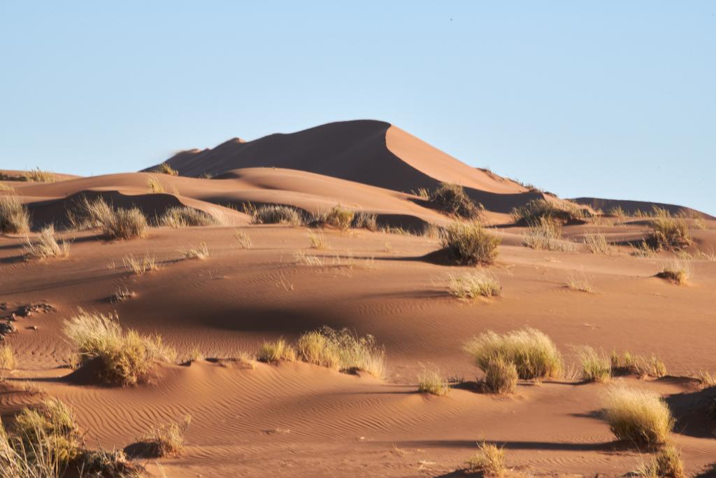 Homeb, désert du Namib [Namibie] - 2021