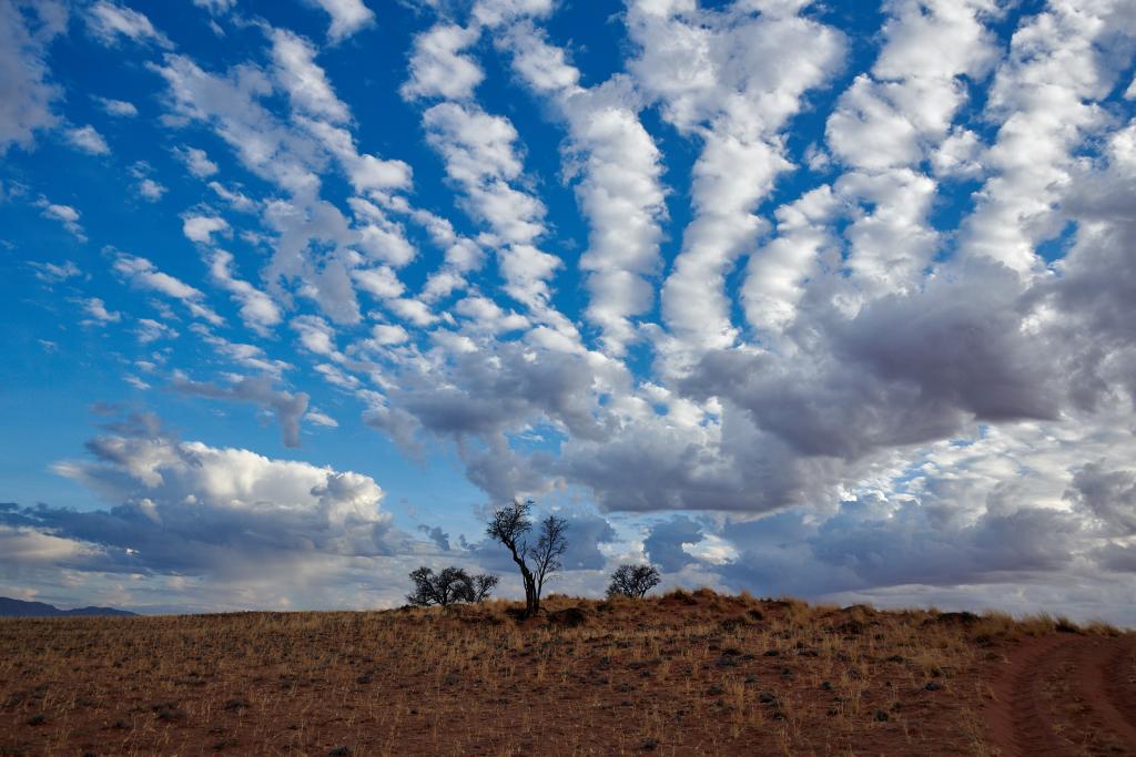Désert du Namib [Namibie] - 2021