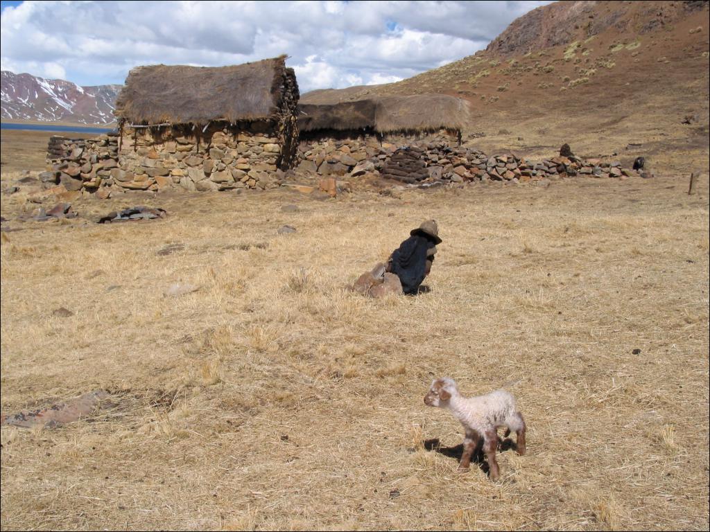 Une habitation isolée, cordillère de Vilcanota [Pérou] - 2004