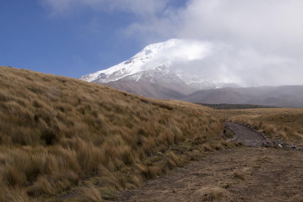 Chimborazo [Equateur] - 2015