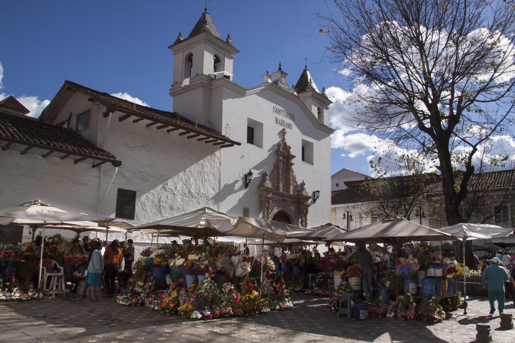 Le marché aux fleurs de Cuenca [Equateur] - 2015