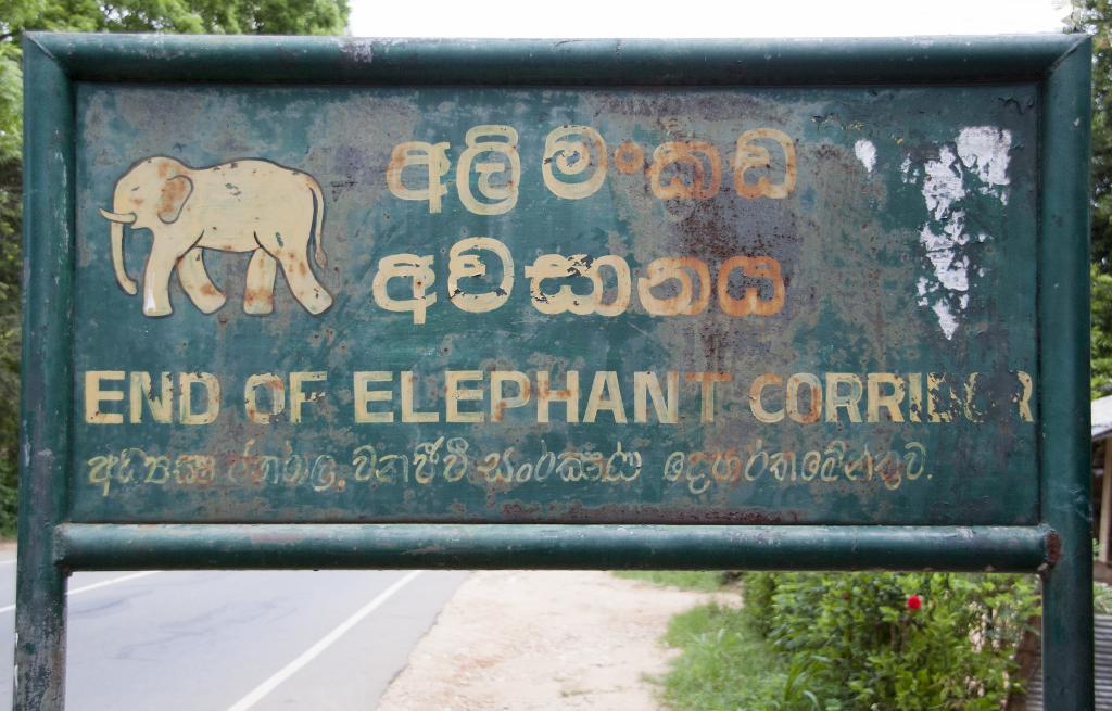 End of elephant corridor [Sri Lanka] - 2016