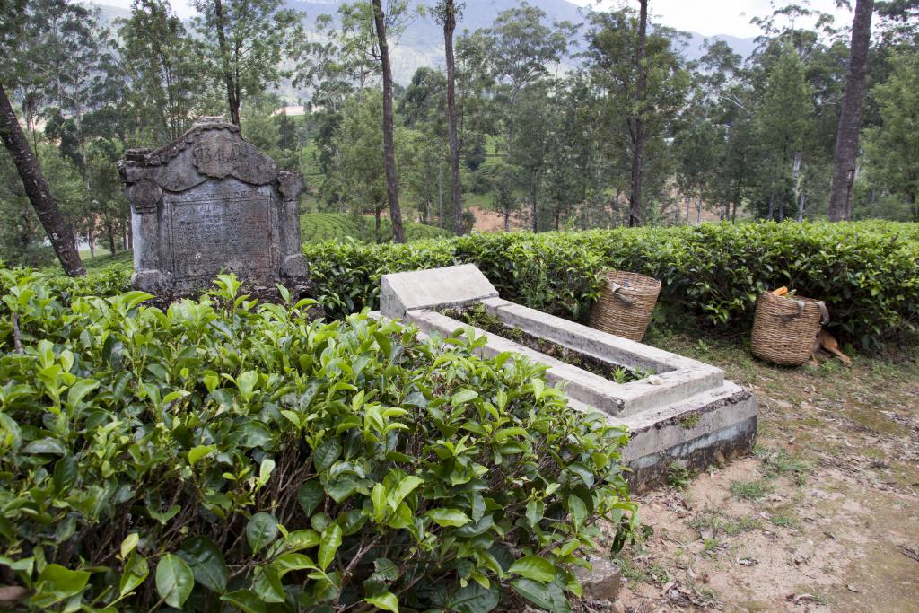 Tombes dans les plantations, Nuwara Elya [Sri Lanka] - 2016