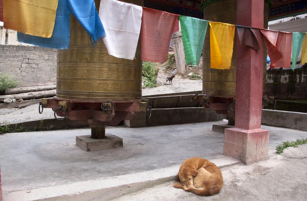 Dêgê, Pays de Kham, ancien Tibet [Chine] - 2014