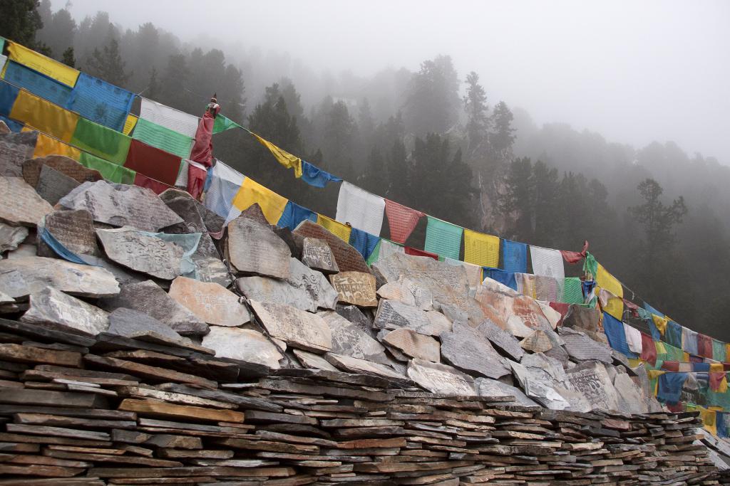 Rongme, village d'été de semi-nomades, Pays de Kham, ancien Grand Tibet [Chine] - 2014