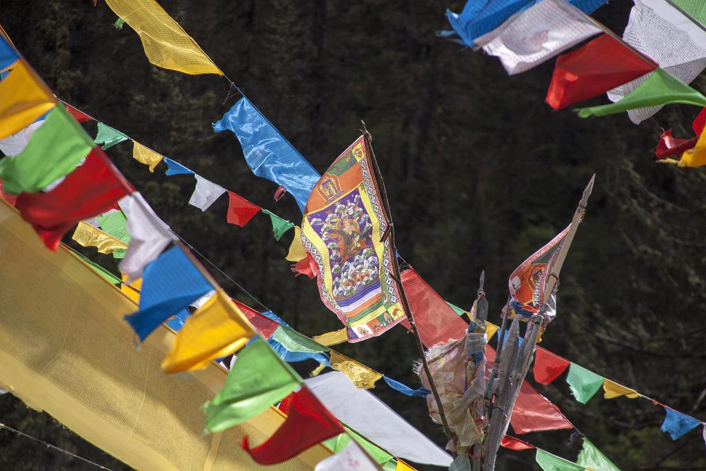 Drapeaux de prières, Tashi Thang, Pays de Kham, ancien Tibet [Chine] - 2014.jpg