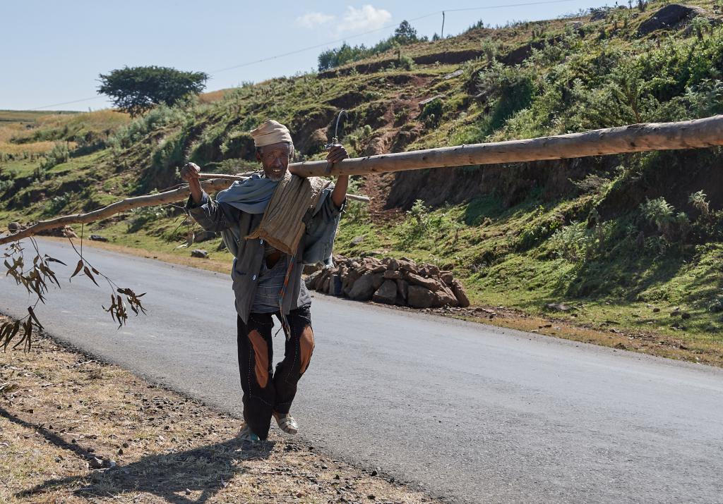 Région de Debarq [Ethiopie] - 2019