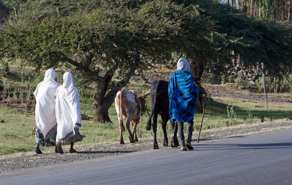 Région de Gondar [Ethiopie] - 2019