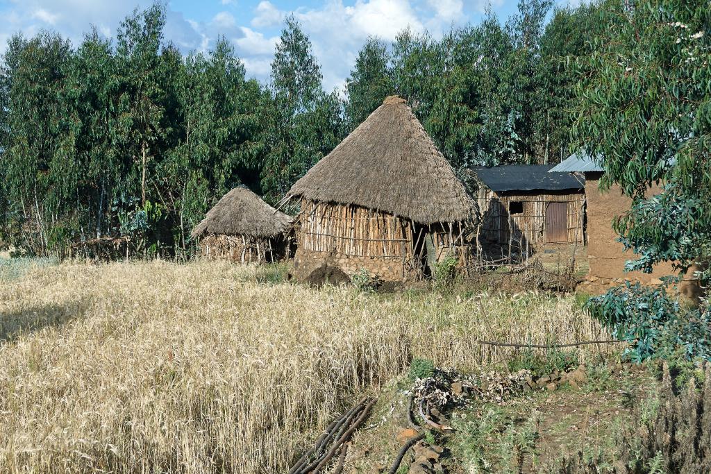 Tulkuts, maisons traditionnelles, région de Lalibela [Ethiopie] - 2019