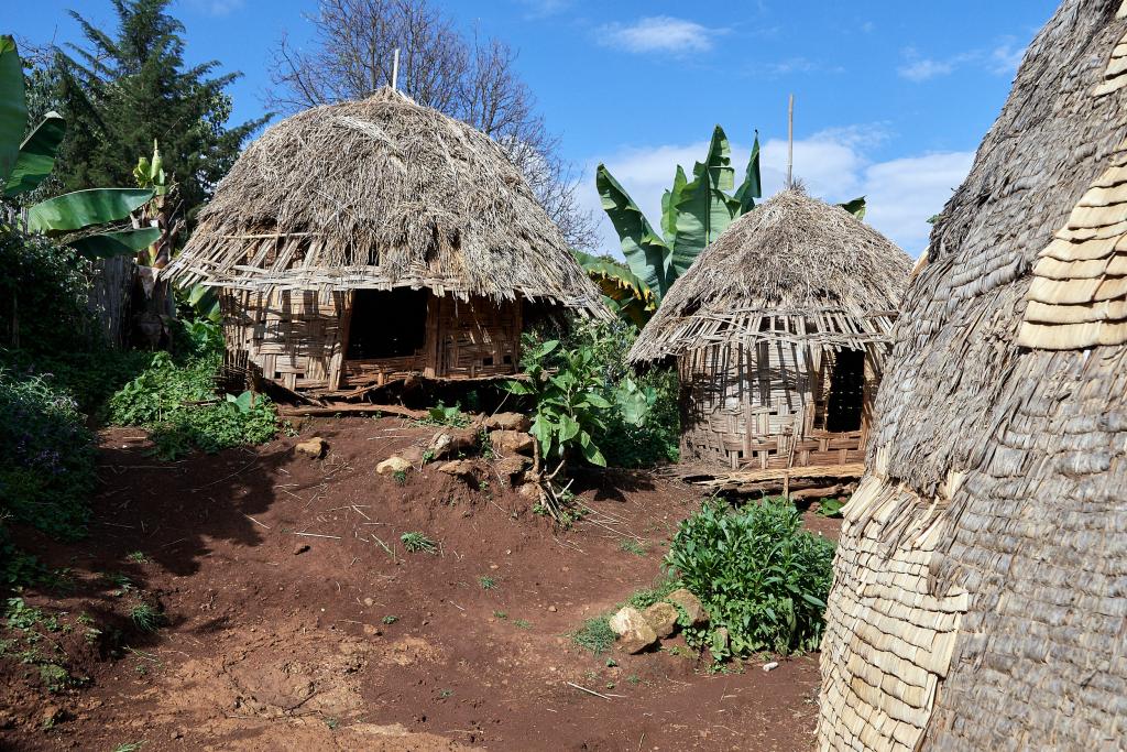 Un village en pays Dorzé [Ethiopie] - 2019