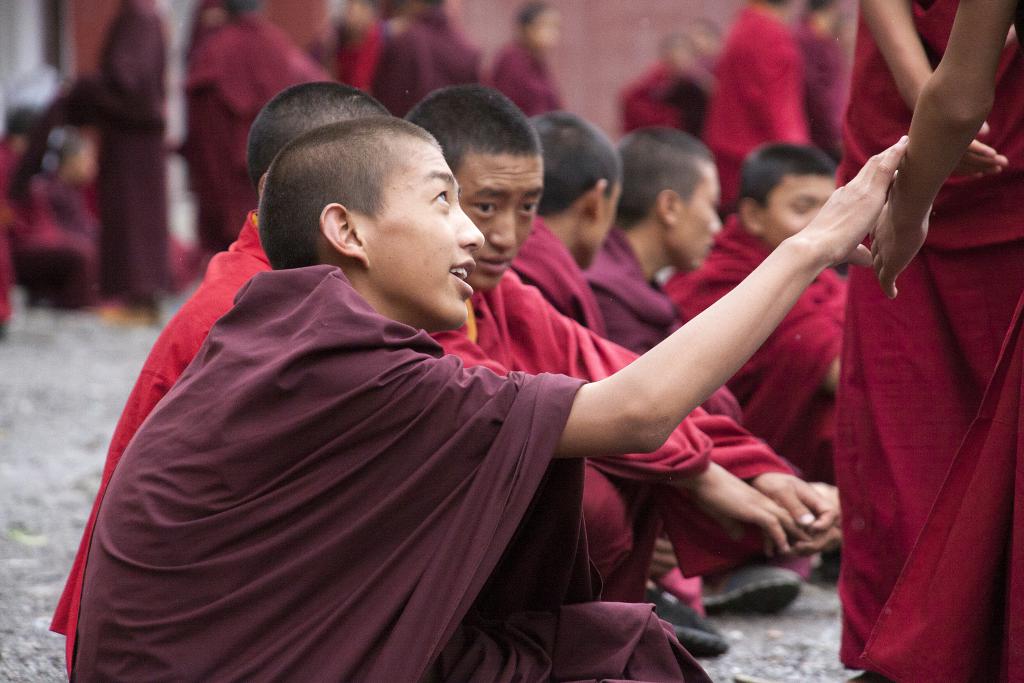 Joutes oratoires au monastère de Dongzsar [Pays de Kham, ancien Grand Tibet, Chine] - 2014