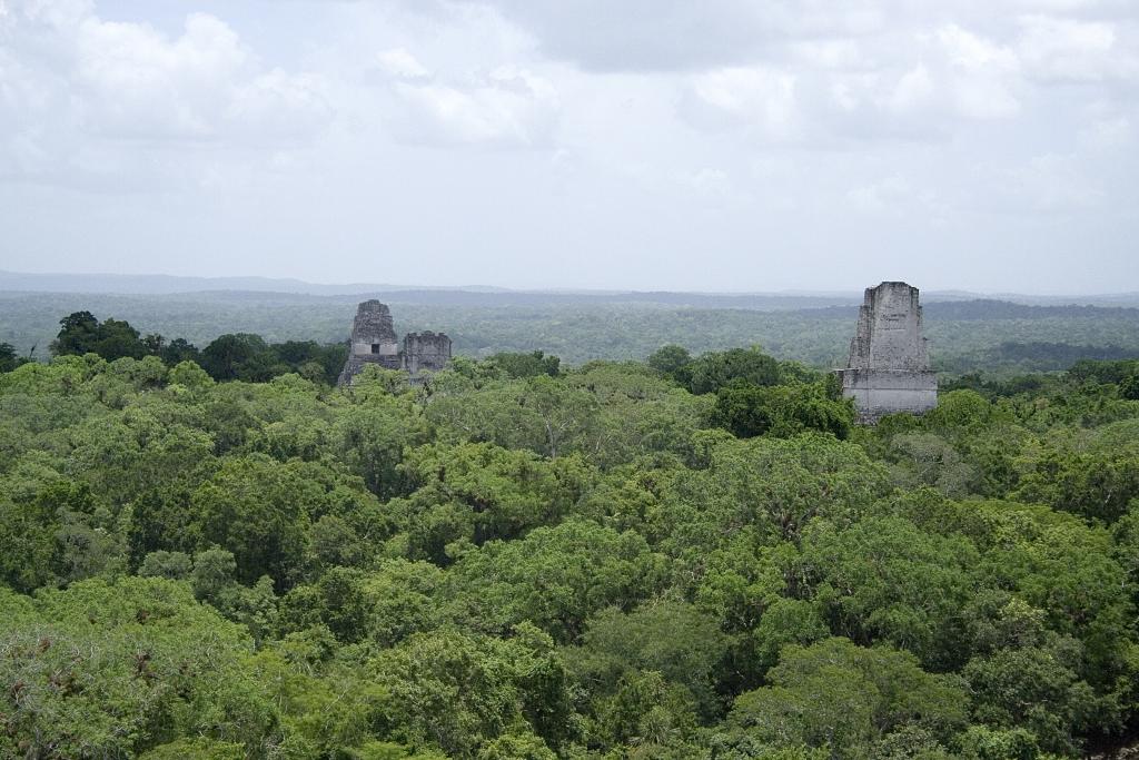 Tikal [Guatemala]