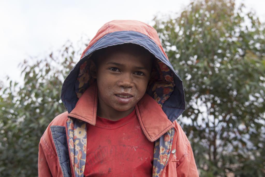Jeune gardien de zébus, les Hautes-Terres [Madagascar] - 2017 