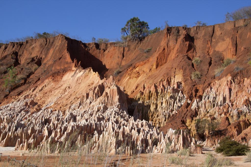Les tsingys rouges [Madagascar] - 2017