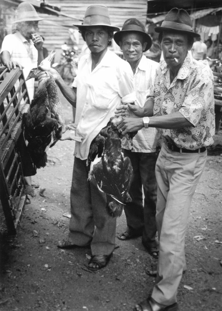 Bornéo [Indonésie] - 1993