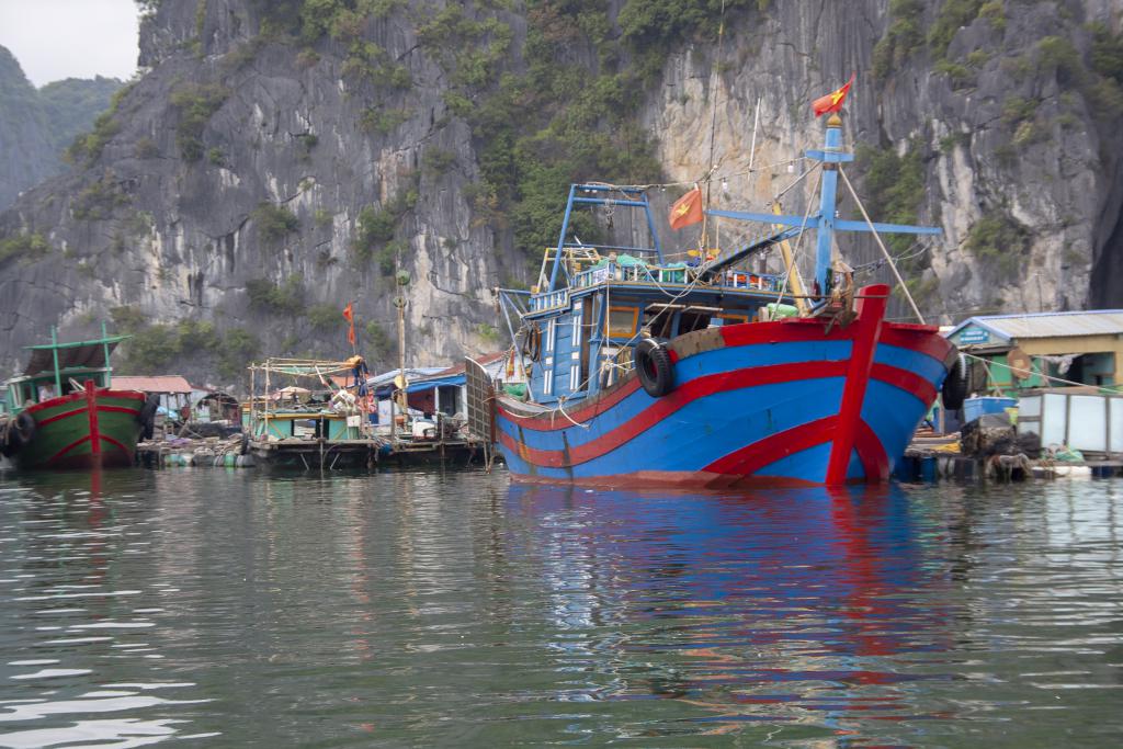 Baie de Lan Ha [Haut-Tonkin, Vietnam] - 2018