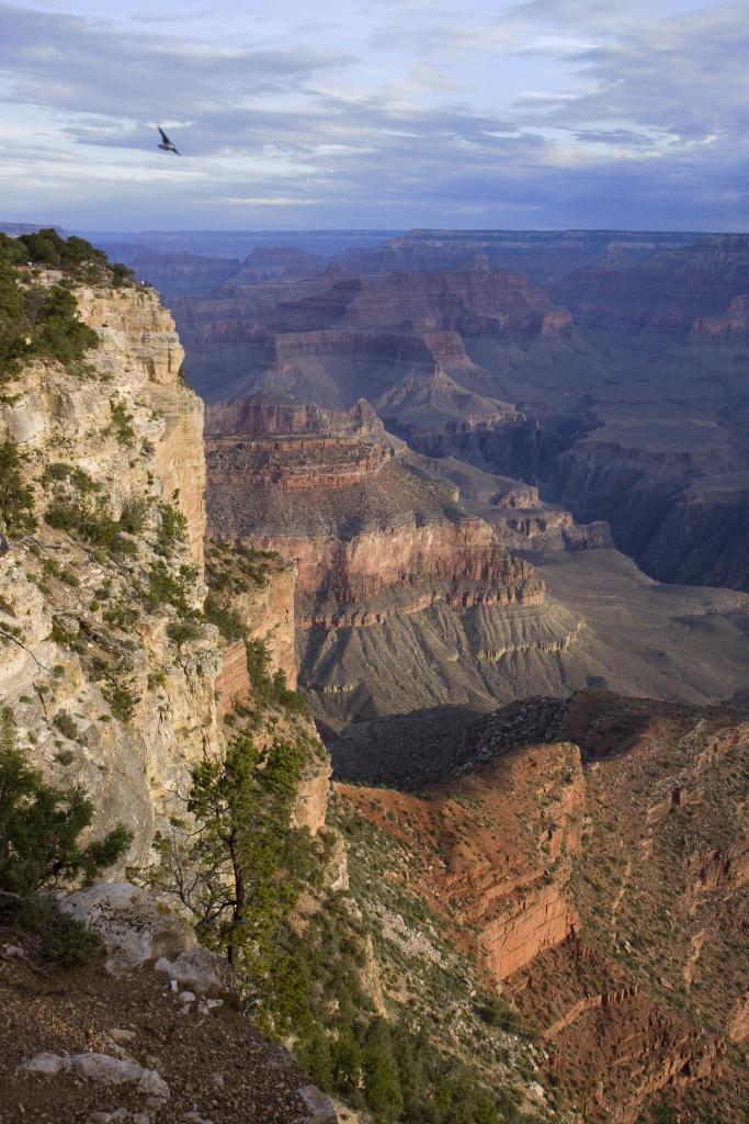 Grand Canyon, Arizona [Etats-Unis]