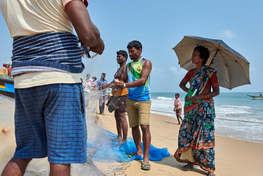 Retour de pêche [Orissa, Inde] - 2020