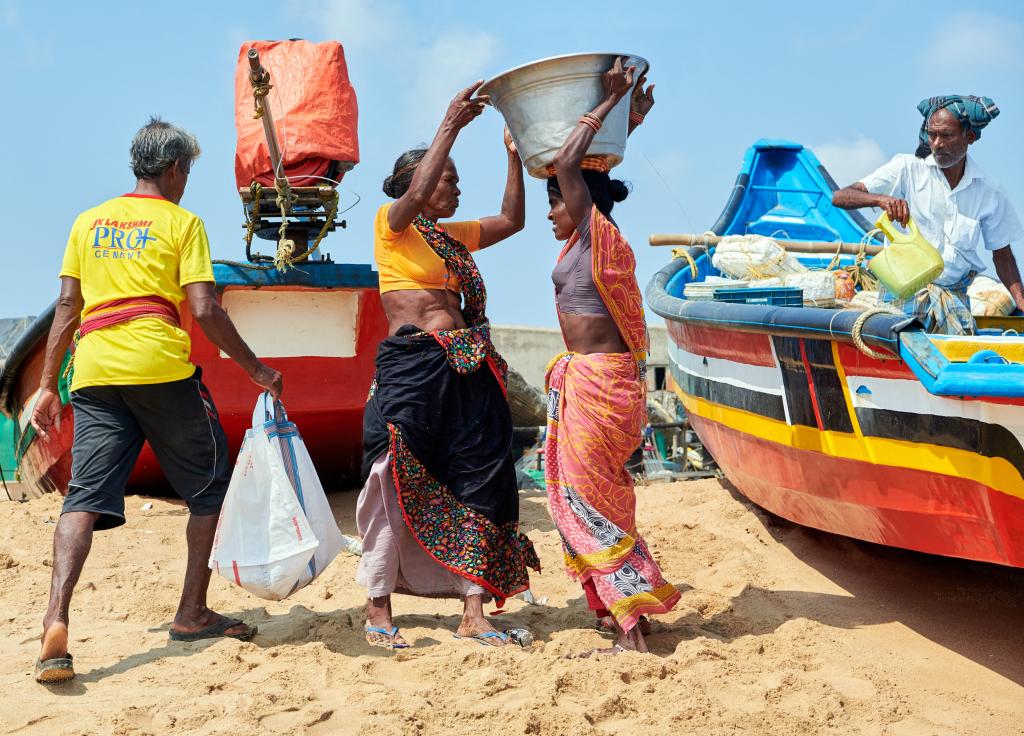 Chargement du poisson [Orissa, Inde] - 2020