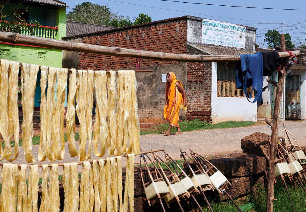 Nuapatna, village de tisserands [Orissa, Inde] - 2020