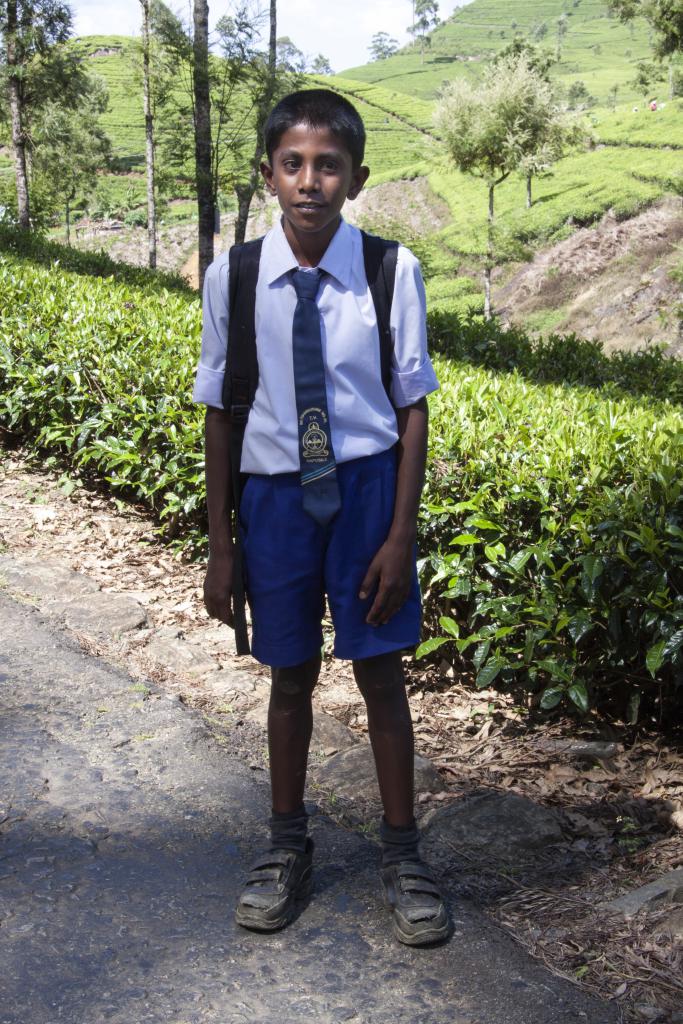 Écolier, Nuwara Elya [Sri Lanka] - 2016