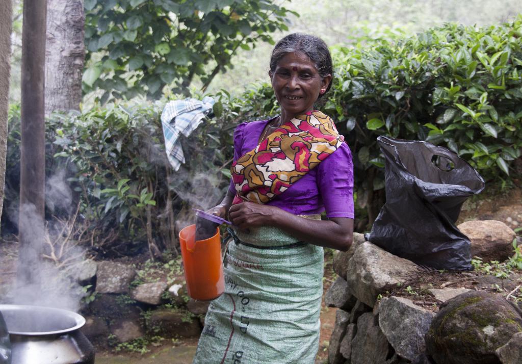 Préparation du thé pour les cueilleuses, Nuwara Elya [Sri Lanka] - 2016