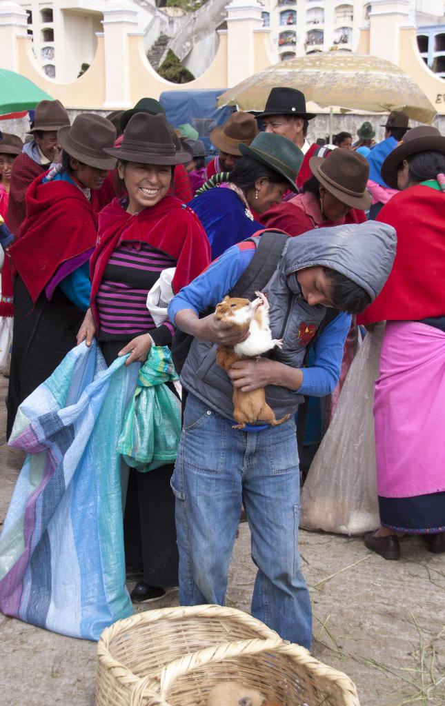 Marché de Guamote [Equateur] - 2015