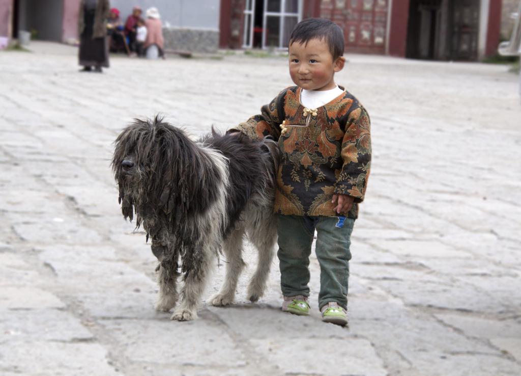 Lhagang, Pays de Kham, ancien Grand Tibet [Chine] - 2014